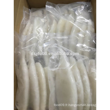 GOOD PRICE SQUID TUBE POUR USD